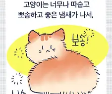 고양이의 찐 사랑.manhwa