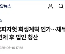 美피자헛에 매각에 이어 韓피자헛도 회생계획 인가