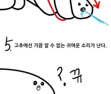 여자들은 모르는 꼬추의 비밀