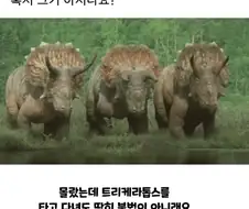 의외로 불법이 아닌 것
