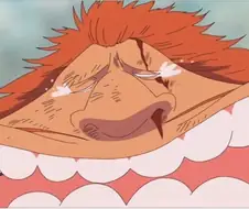 원피스)사우로:로빈 많은 일있었구나