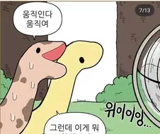 뱀들이 여름 나는 법