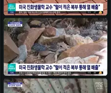 다람쥐의 여름나기