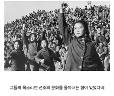 씨팝 문화 헌터스