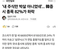주식중 삼전 하닉얘기만 주구장창 나오는 이유