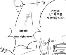 미국에서 경찰에게 정차 명령을 받았을 때 꿀팁