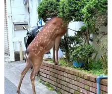 나라 꼴 잘 돌아가네 ㅋㅋㅋㅋ