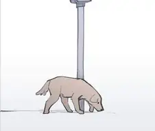고양이가 사라진 만화