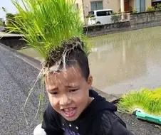 오이 코롸아아아
