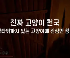 붉은사막)고양이들의 천국이라는 장소.jpg