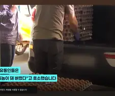 계란 싸게 파는 뉴스 보고 이해 못한 한국인들