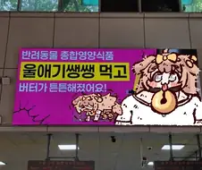 트릭컬)버터가쌩쌩