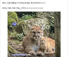 "나 다 컸다고! 이제 혼자 살거라고!" / "넌 아직 애기야."