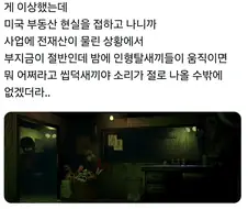 귀신이 계속 나오는 곳에 가게차린 이유
