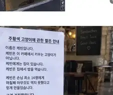 아무것도 못 먹은 척 손님 14명을 속인 고양이.jpg