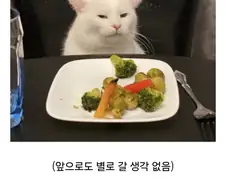 "너가 제대로 하는 집을 못 가봐서 그래~" 특징