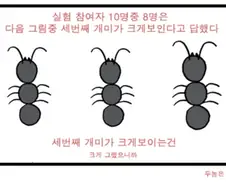 10명중 8명은 한쪽 개미가 커보인다고 하였다