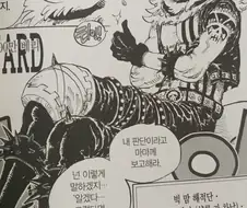 원피스) 한때 카이도 아들썰 돌았던 캐릭터