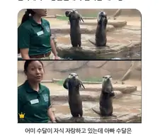 ??? : 뭐지 자랑타임인가