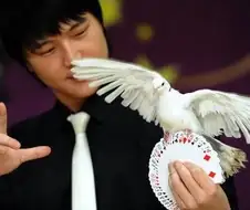 제일 난해하고 시도조차 못할 거 같은 직업 jpg