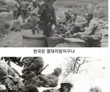 ???:한국은 열대지방이구나