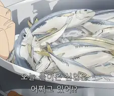 스파이X패밀리) 첫날에 치프 되는 방법