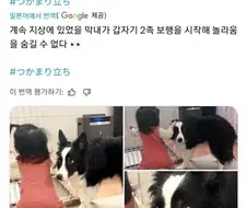 ??? : 말도안돼! 어떻게 너따위가 그분의 기술을!!