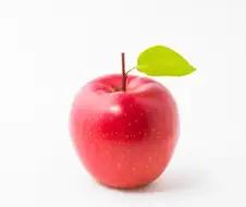 포켓몬 월드 드래곤 특징