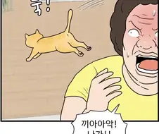 캣맘 짤중에 이게 제일 폭력적인거같음