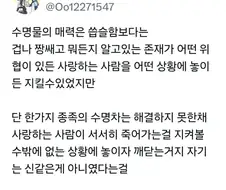 수명물의 핵심을 깨달은 작가