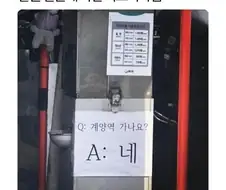 알아보기 편한 버스