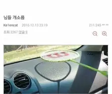 님들 개소름
