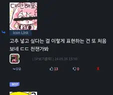 김장 마려운 디씨인