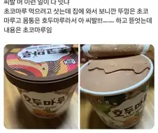 초코마루 먹으려다 초코마루 먹음