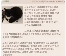 하극상을 시도한 신입