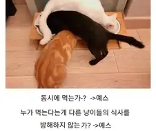 코딩이 잘 된 경우 jpg.