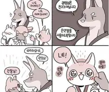 태권도 관장님 만화