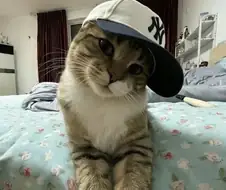 와썹? 브로