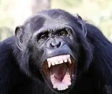 영화) ??? : MCU 공식 채널이 자폭했다!