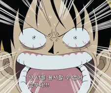 루피와 조로의 싸움