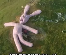 구글 어스에 찍힌 거대 인형 토끼.jpg