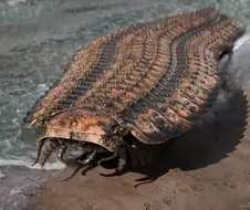 아르트로플레우라 Arthropleura라고 한다