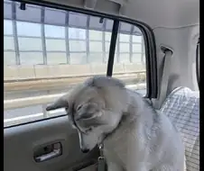 눈치가 빠르구나