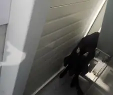 공장 침입자 GOAT