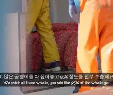 영국이 골뱅이를 잘 안먹고 거의 수출해버리는 이유