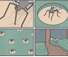 곧 다가 올 크록스 시즌