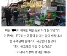 프리미엄)동물샵에서 돌고래를...
