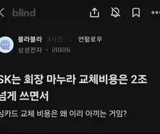 임시조치가 의미없는 짤