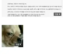 "우리게임 대규모 업데이트라도 하나봐ㅎㅎ"