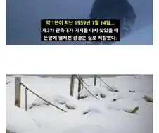 남극에 버려진 15마리의 개 이야기.